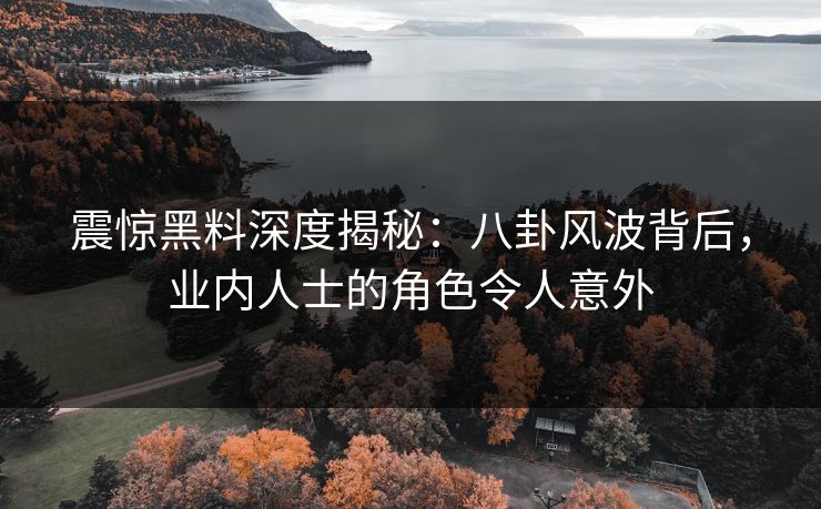 震惊黑料深度揭秘：八卦风波背后，业内人士的角色令人意外  第1张