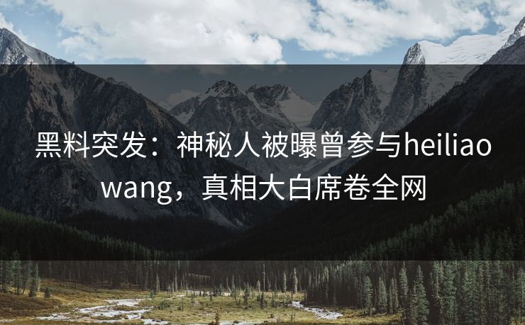 黑料突发：神秘人被曝曾参与heiliaowang，真相大白席卷全网